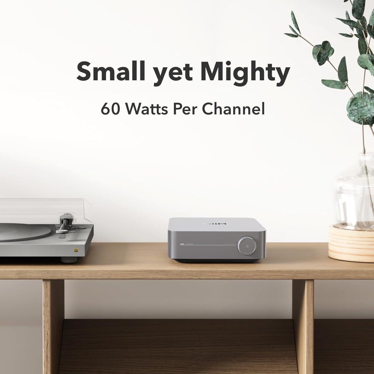 NETWORK STREAMING AMPLIFIER - WIIM - AMP