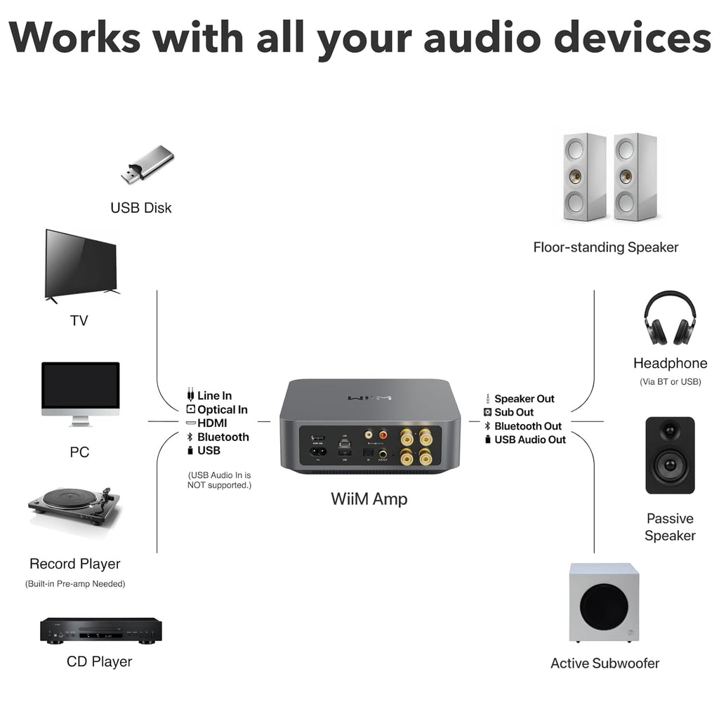 NETWORK STREAMING AMPLIFIER - WIIM - AMP