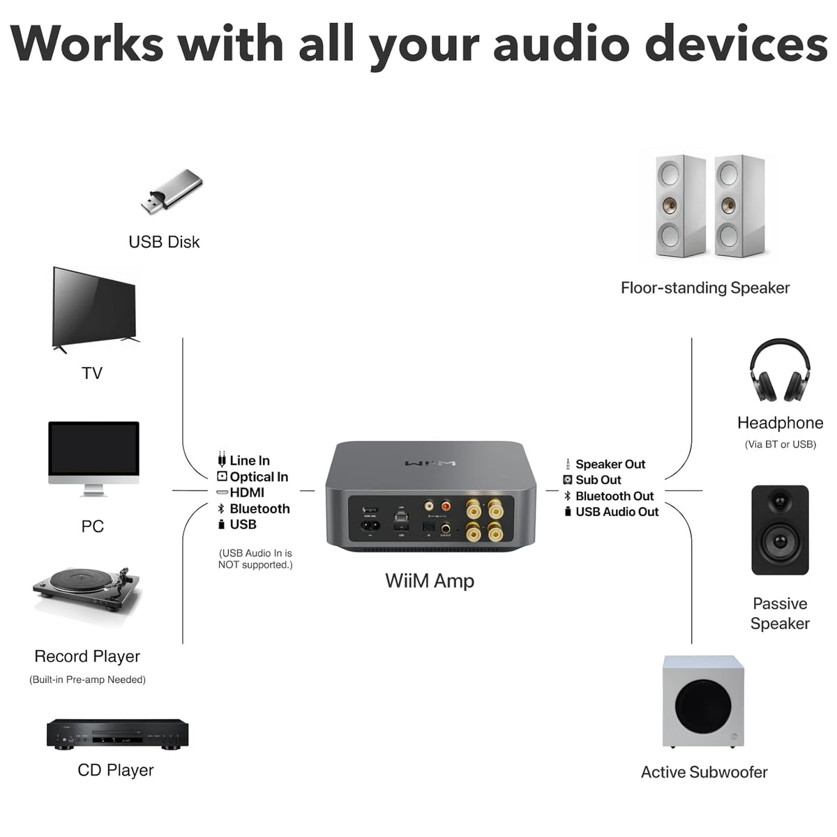 NETWORK STREAMING AMPLIFIER - WIIM - AMP